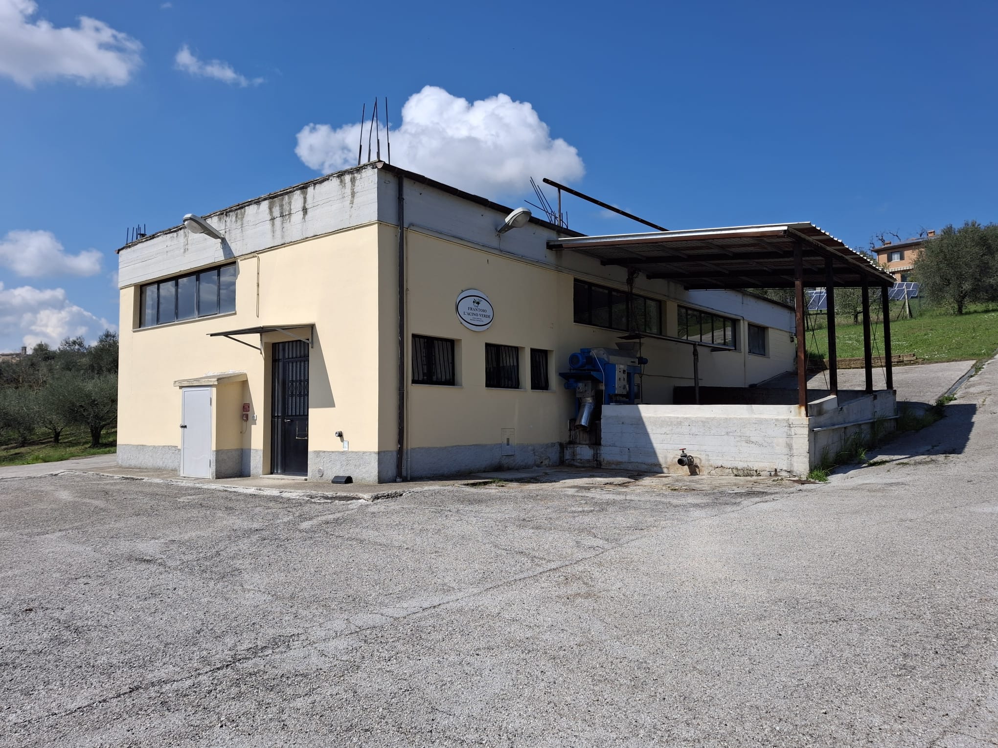 Frantoio L'Acino Verde